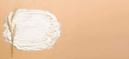 Fresh flour and wheat ears on color background with space for textの写真素材