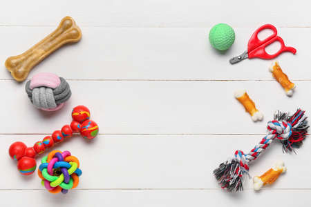 Different pet care accessories and snacks on light wooden backgroundの写真素材