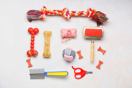 Set of pet care accessories and snacks on light background