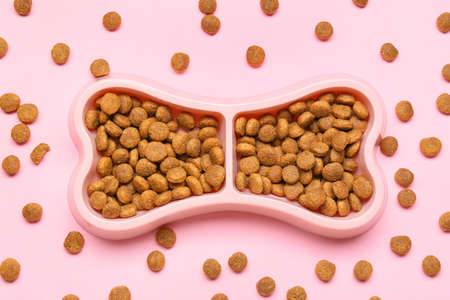 Bowl with dry pet food for dog on pink backgroundの写真素材