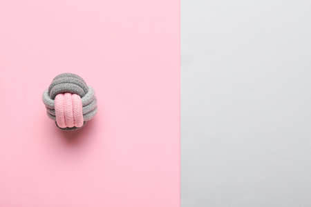 Toy ball for pet on color backgroundの写真素材