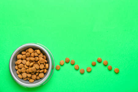 Bowl of dry pet food on green backgroundの写真素材