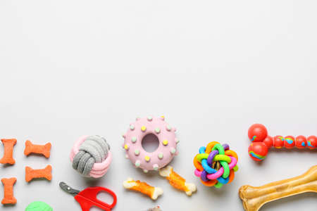 Set of pet care accessories and snacks isolated on white backgroundの写真素材