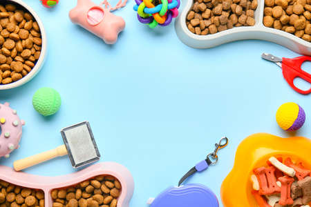 Frame made of different pet care accessories and food on color background, closeupの写真素材