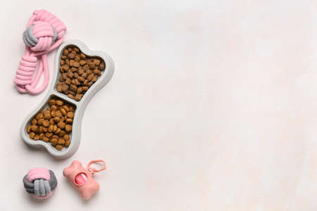 Set of pet care accessories and bowl of food on light backgroundの写真素材