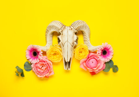 Skull of sheep with flowers on color backgroundの写真素材