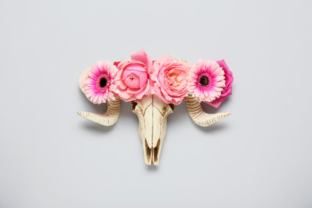 Skull of sheep with flowers on gray backgroundの写真素材