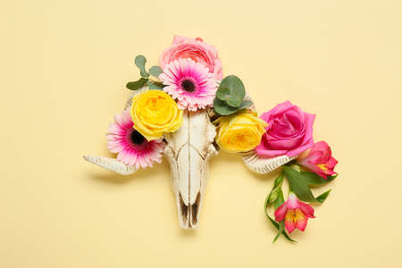 Skull of sheep with flowers on color backgroundの写真素材