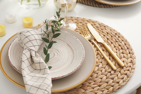 Stylish table setting with green branch