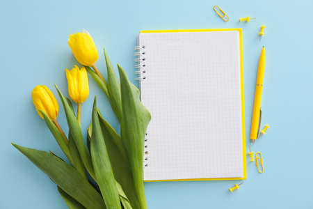 Blank notebook, stationery and yellow tulips on color backgroundの写真素材