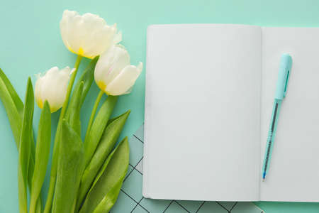 Open notebook, pen and tulips on color background, closeup