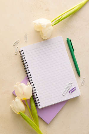 Composition with notebooks, beautiful flowers and stationery on color backgroundの写真素材