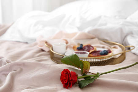 Beautiful red rose for Valentine's Day on bed