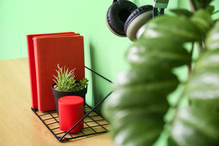 Books, houseplant and wireless portable speaker on table near color wall