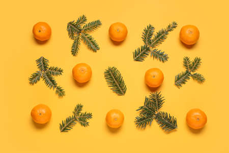 Ripe tangerines and fir branches on yellow background