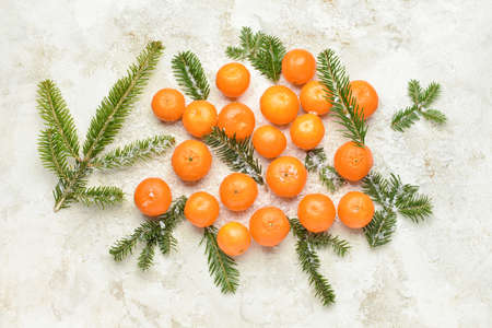 Tasty tangerines, snow and fir branches on light backgroundの写真素材
