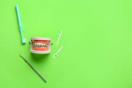 Model of jaw with dental braces, toothpicks, brush and tool on green backgroundの写真素材