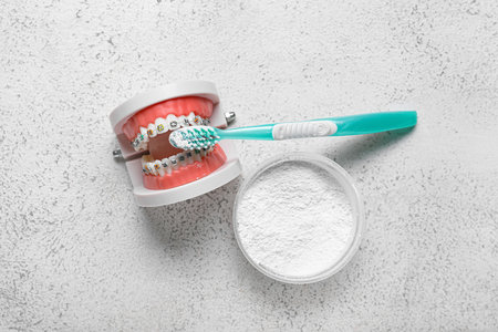 Model of jaw with braces, toothbrush and powder on light background