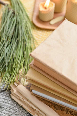 Stack of books and pine tree branch on plaid, closeup