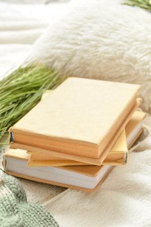 Stack of books on soft plaidの写真素材