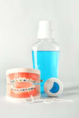 Model of jaw with braces, toothpicks, floss and mouthwash on white background