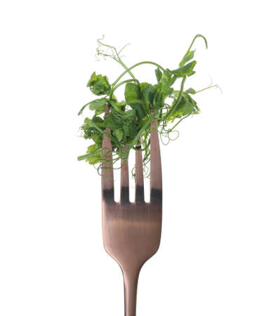 Fork with fresh micro green isolated on white background