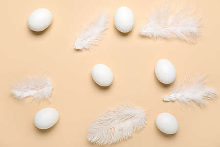 Chicken eggs and feathers on color backgroundの写真素材