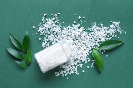 Jar with sea salt and plant leaves on green background