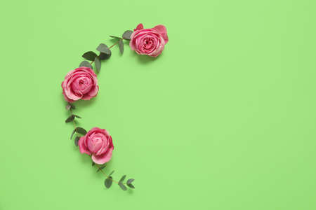 Composition with beautiful rose flowers and eucalyptus branches on green background