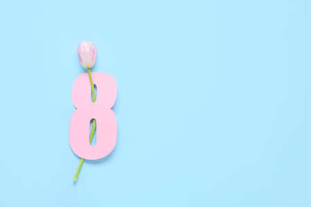 Paper figure 8 and tulip flower on color backgroundの写真素材