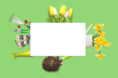 Empty board with set of gardening tools and fresh flowers on green backgroundの写真素材