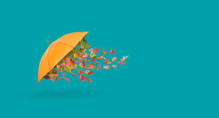 Stylish umbrella and autumn leaves on blue backgroundの写真素材