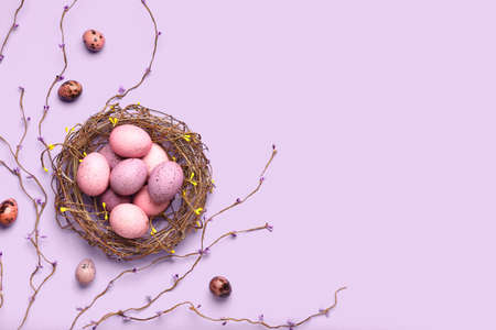 Composition with nest and Easter eggs on color background