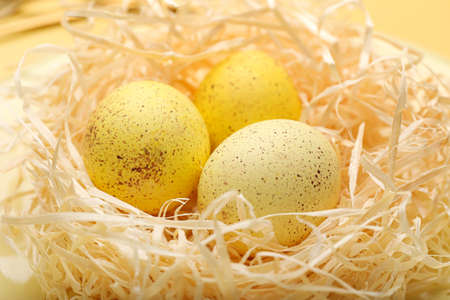 Nest with yellow Easter eggs, closeup