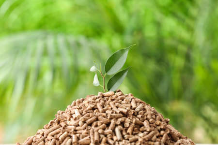 Pile of wood pellets outdoors, closeup