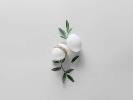 Easter eggs and green branches on light background