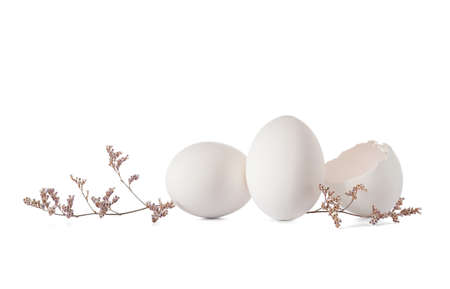 Easter eggs, eggshell and gypsophila flowers on white background