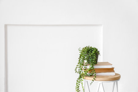 Modern table with houseplant and books in interior of light roomの写真素材
