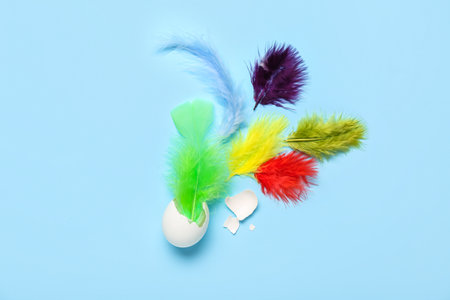 Composition with broken egg and colorful feathers on blue background