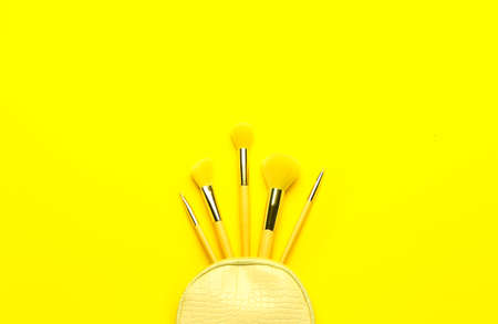 Composition with set of makeup brushes in bag on yellow background