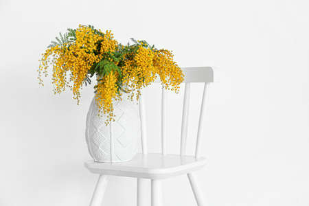 Vase with mimosa flowers on chair near light wallの写真素材