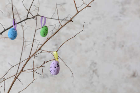 Tree branches with colorful Easter eggs near light wall, closeupの写真素材