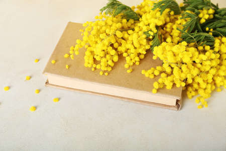 Beautiful mimosa branches on light background, closeupの写真素材