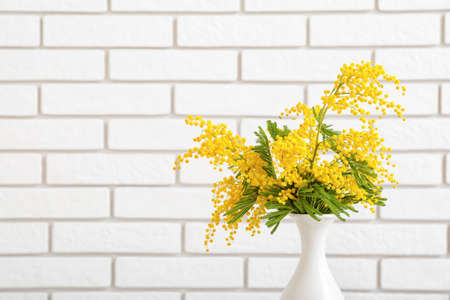Vase with beautiful mimosa branches on light brick backgroundの写真素材