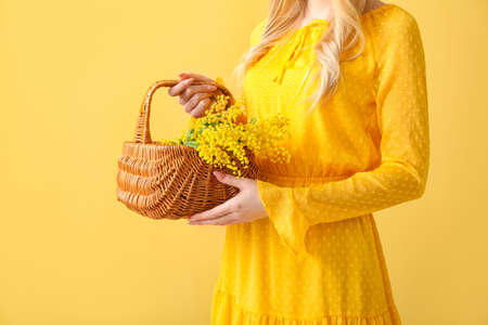 Woman holding basket with beautiful mimosa branch on color backgroundの写真素材