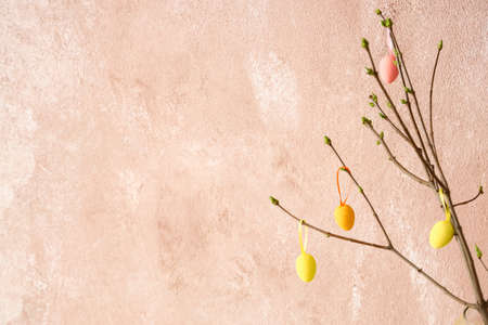 Tree branches with Easter eggs on color background