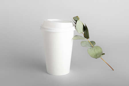 Takeaway paper cup and eucalyptus branch on light background
