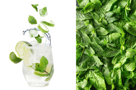 Collage with glass of fresh mojito cocktail and fresh mint leaves on white backgroundの写真素材