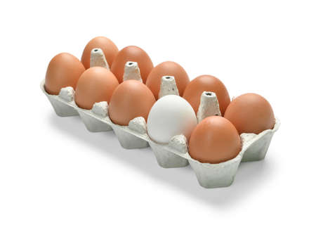 Holder with chicken eggs on white background