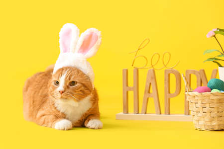 Cute cat in bunny ears, basket, Easter eggs and flowerpot on yellow backgroundの写真素材